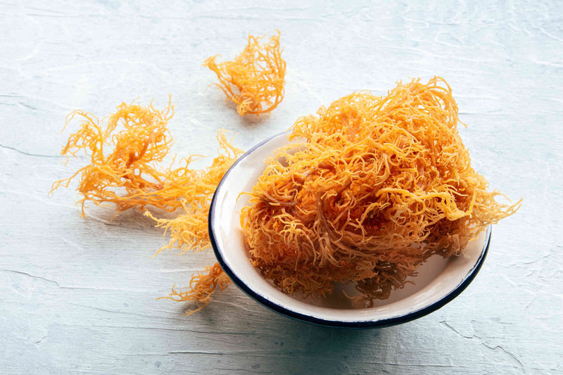 Raw Sea Moss