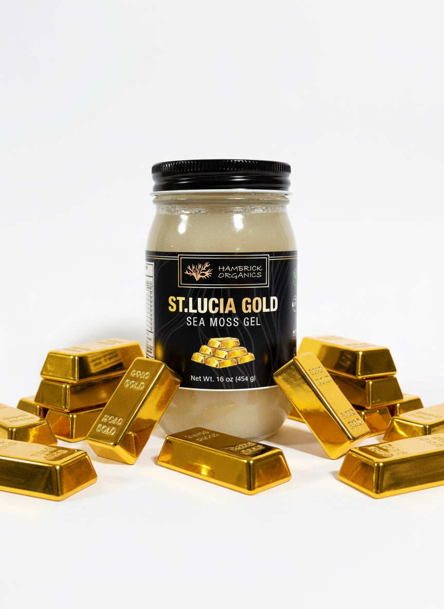Gold Sea Moss Gel