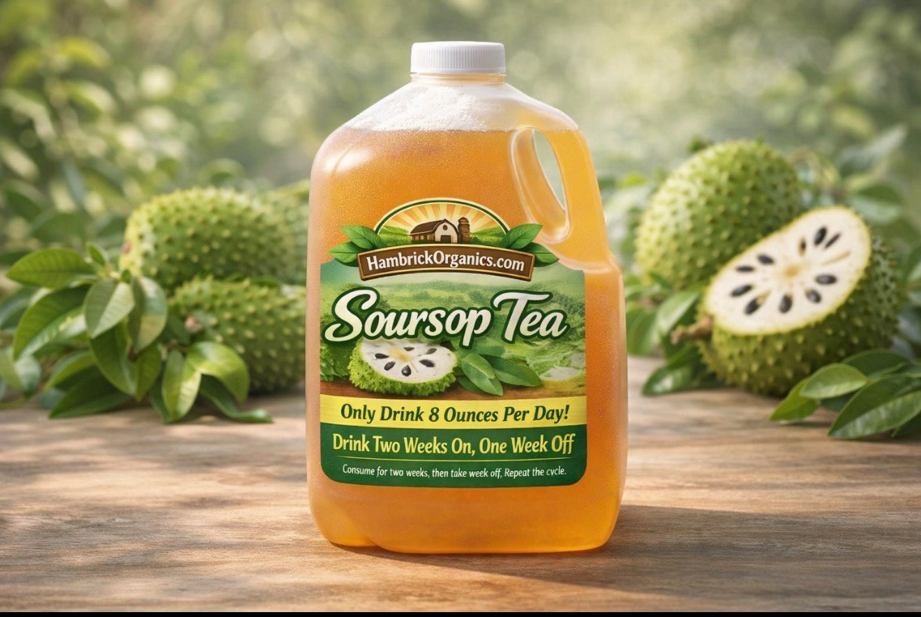 Soursop Tea