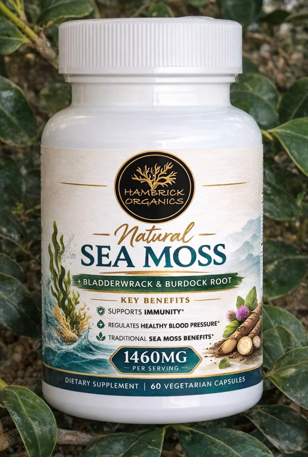 Irish Sea Moss w/ Bladderwarck & Burdock Root Capsules (Chondrus Crispus)