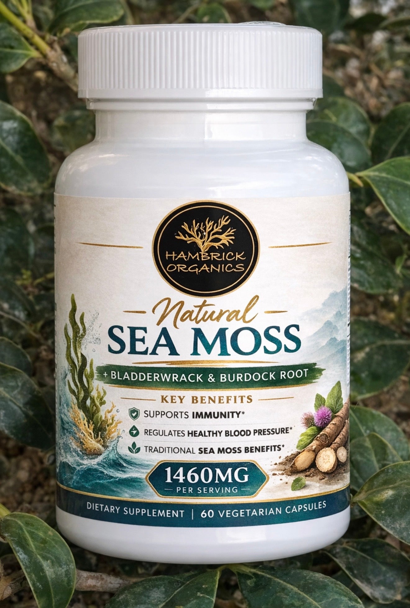 Irish Sea Moss w/ Bladderwarck & Burdock Root Capsules (Chondrus Crispus)