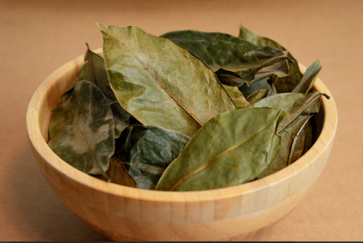 Organic Soursop Leaves (Graviola)