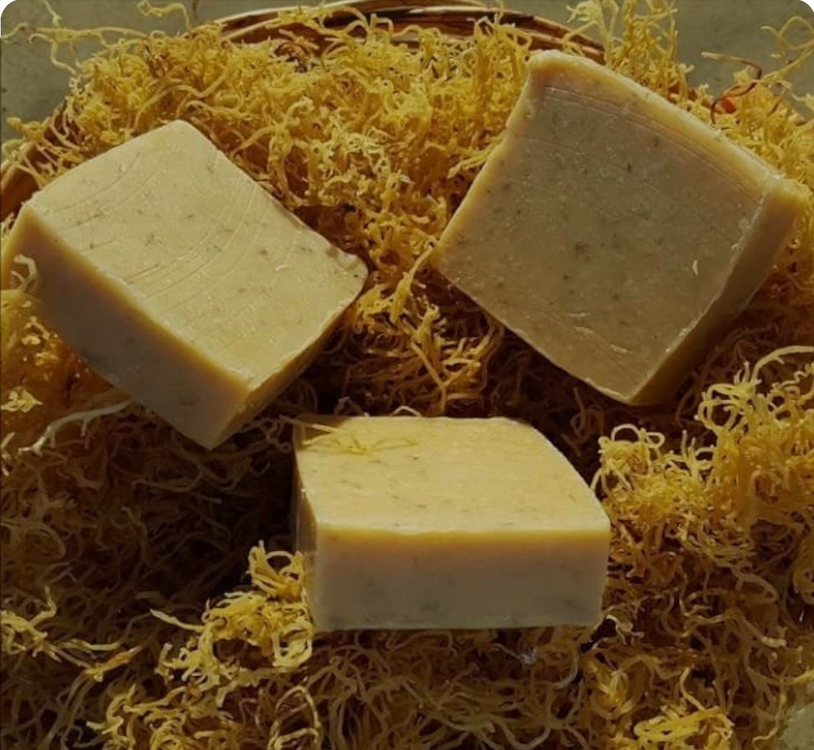 Sea Moss Soap