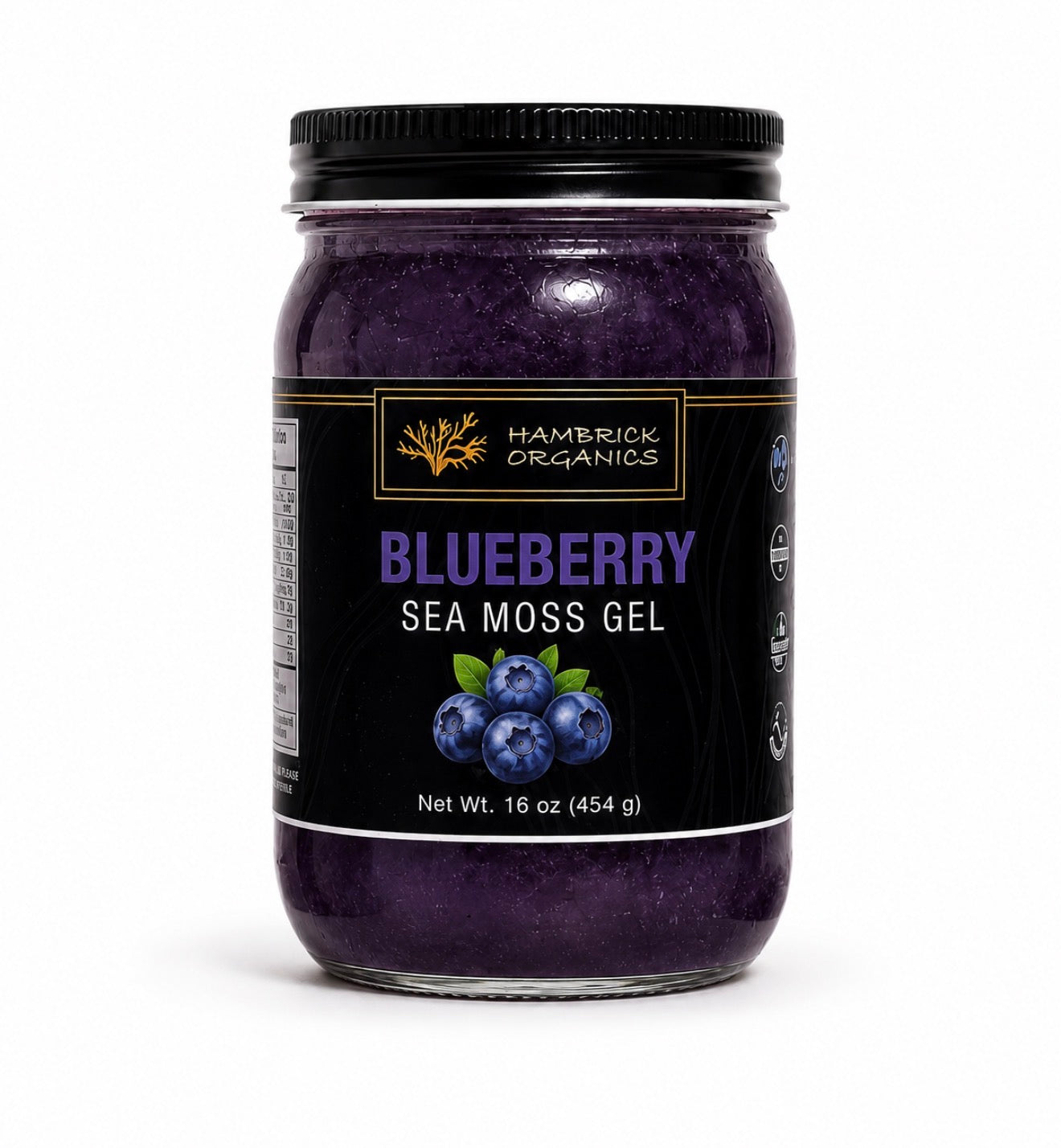 Blueberry Sea Moss Gel