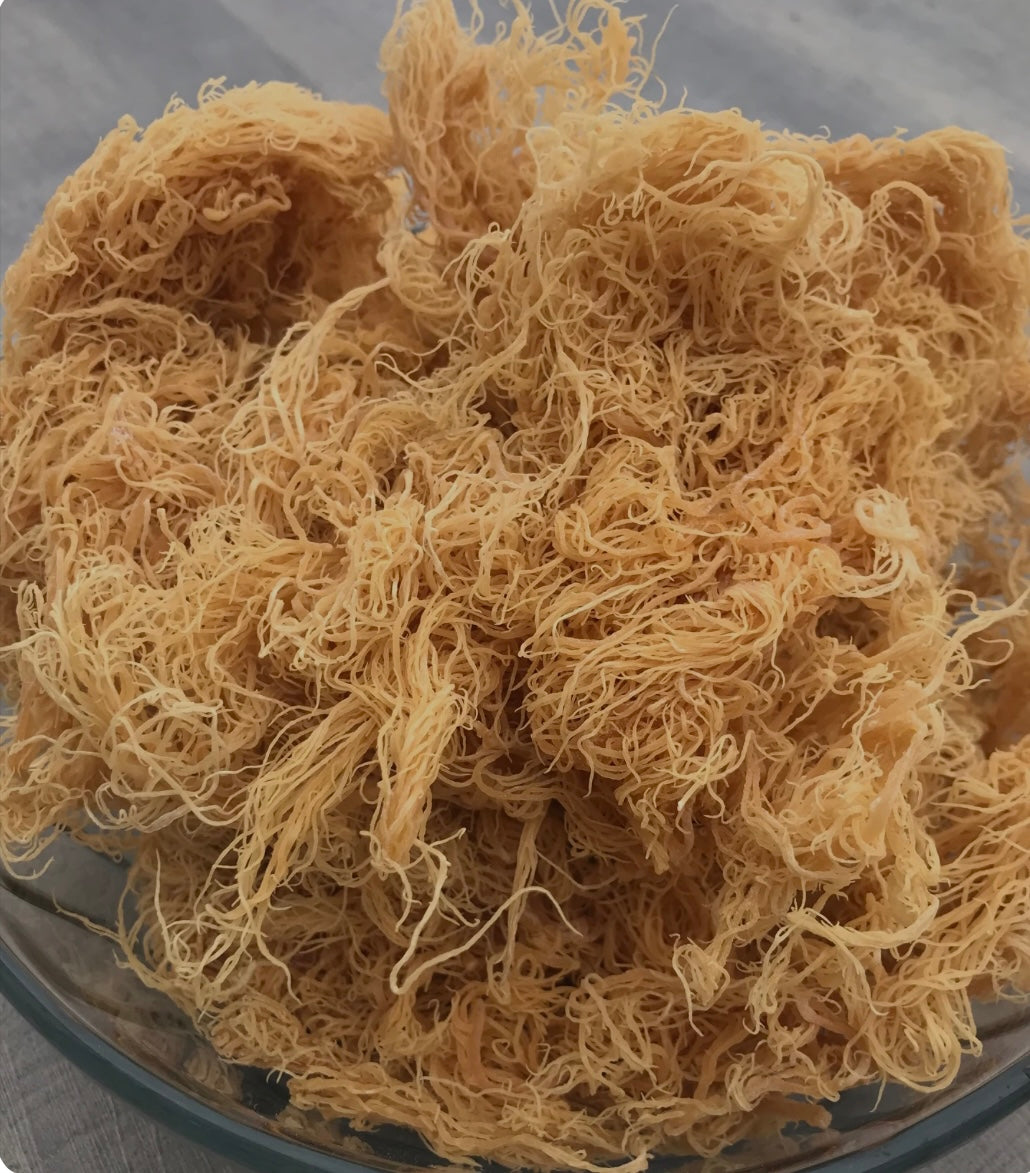 Wild Crafted Sea Moss